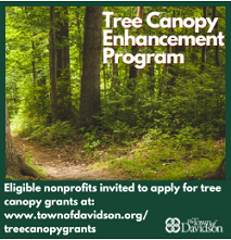 Town of Davidson Now Accepting Applications for New Tree Canopy Enhancement Program