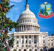 U.S. Capitol Christmas Tree Was Selected from Pisgah Forest in NC