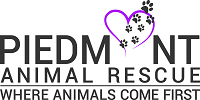 Mooresville’s Piedmont Animal Rescue Forced to Close Because of Economy