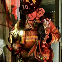 6 Pets Rescued from House Fire in Concord on New Year’s Day