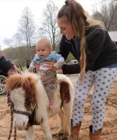 Miniature Horses that Ministered to Children & Rutherfordton Community Brutally Poisoned