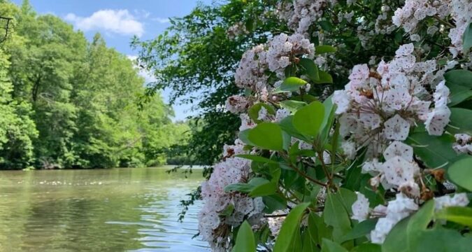 Salisbury-based Three Rivers Land Trust Receives Over $2.5M From the North Carolina Land and Water Fund